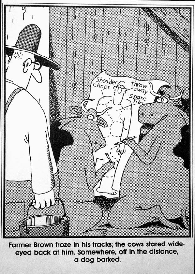 far-side-choice-cuts.jpg