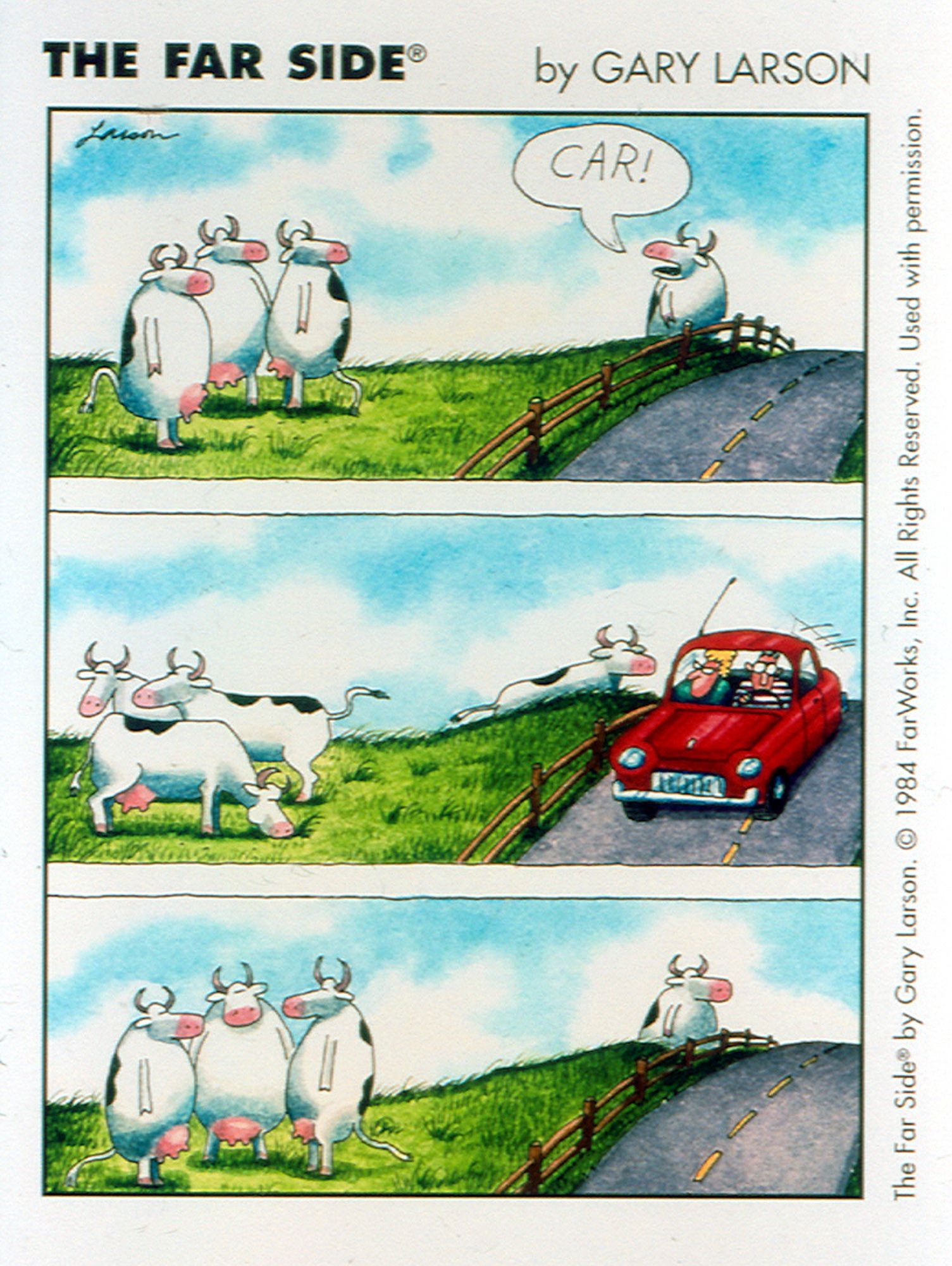 Vacas fingem pastar enquanto um carro passa na história em quadrinhos Far Side 