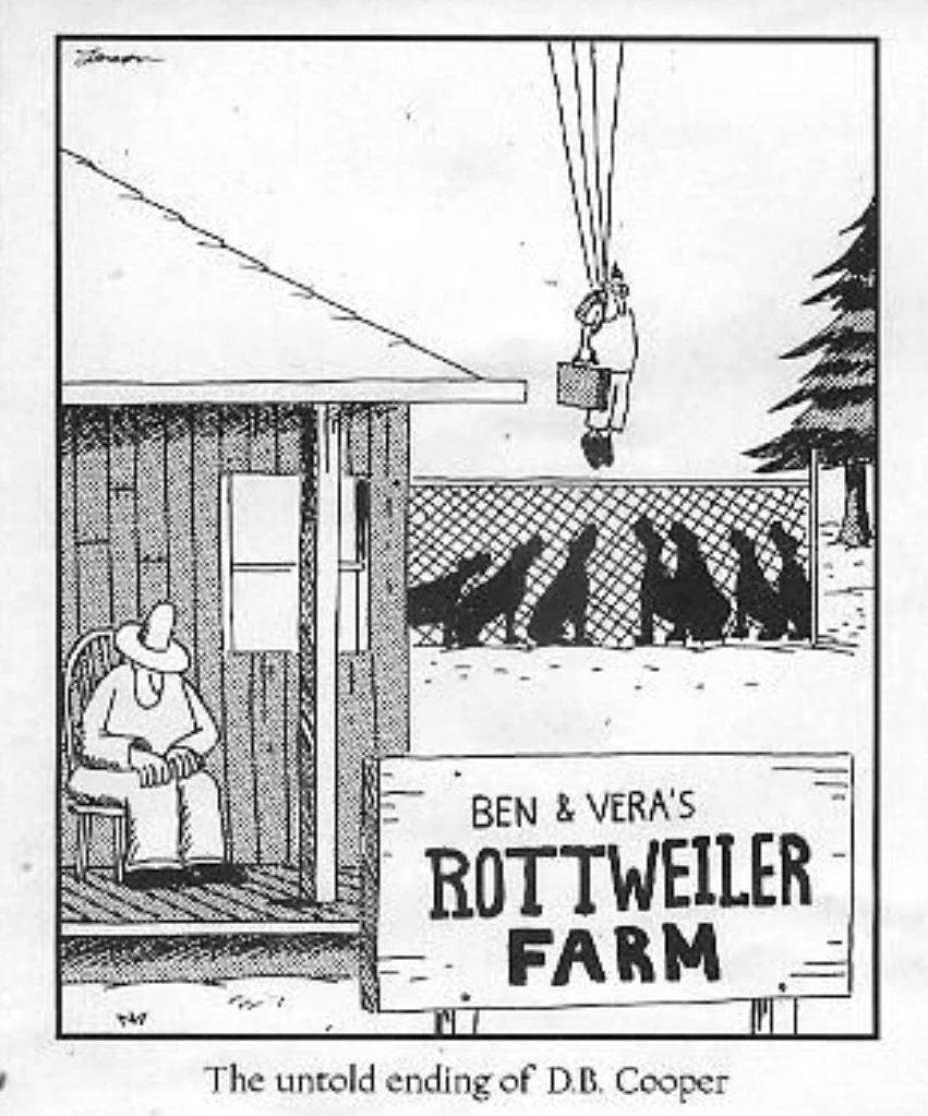 Un homme (DB Cooper) saute nerveusement dans une cage remplie de rottweilers qui le regardent.  Au premier plan un vieux fermier dort sur le porche.