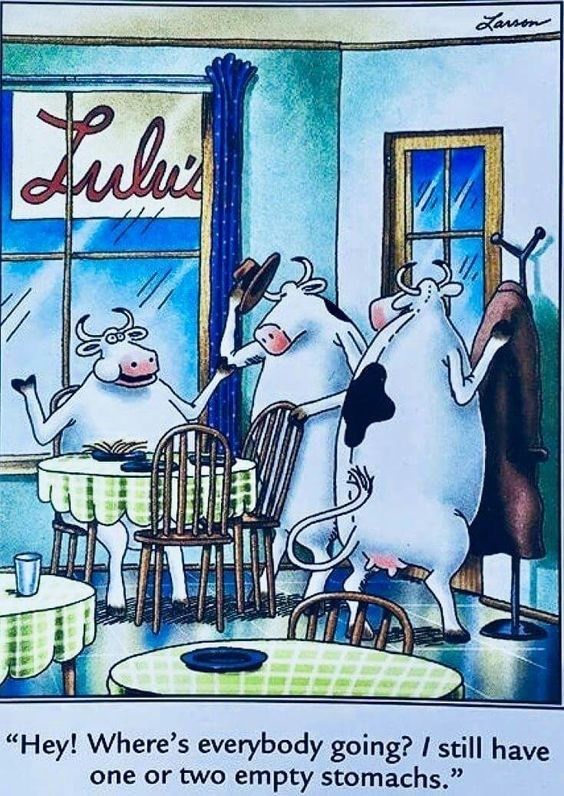 Uma vaca conversa com seus amigos em um restaurante nos quadrinhos Far Side 