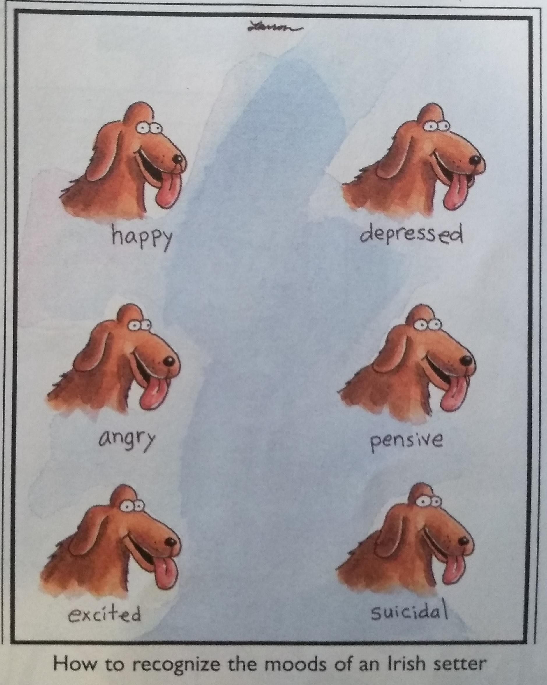 Far Side, how to recognize the moods of an Irish Setter