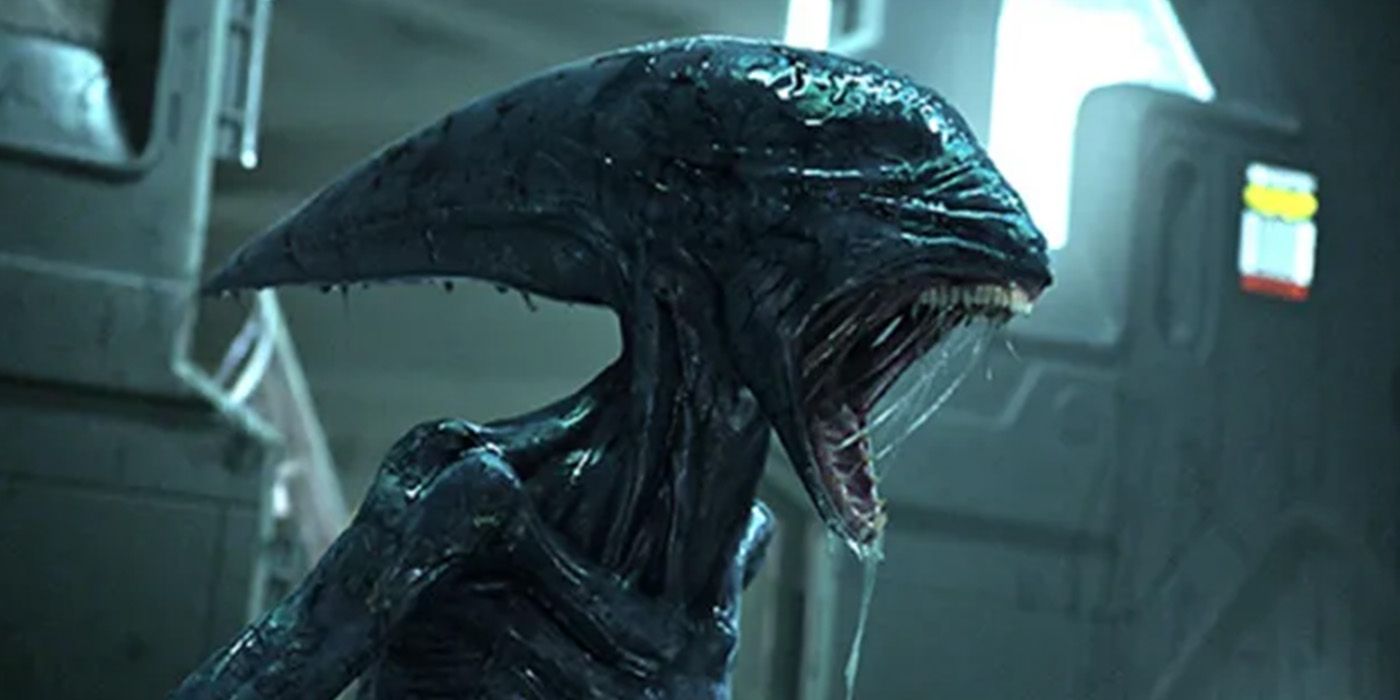 Every Type Of Xenomorph In The Alien Franchise Explained