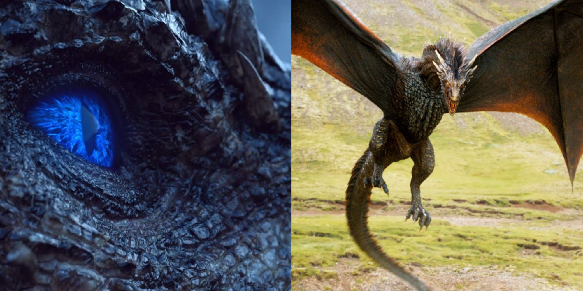 Game Of Thrones: 10 Unpopular Opinions About The Dragons, According To Reddit