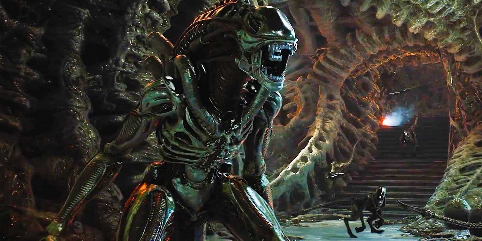 Group of aliens in hive in aliens fireteam elite