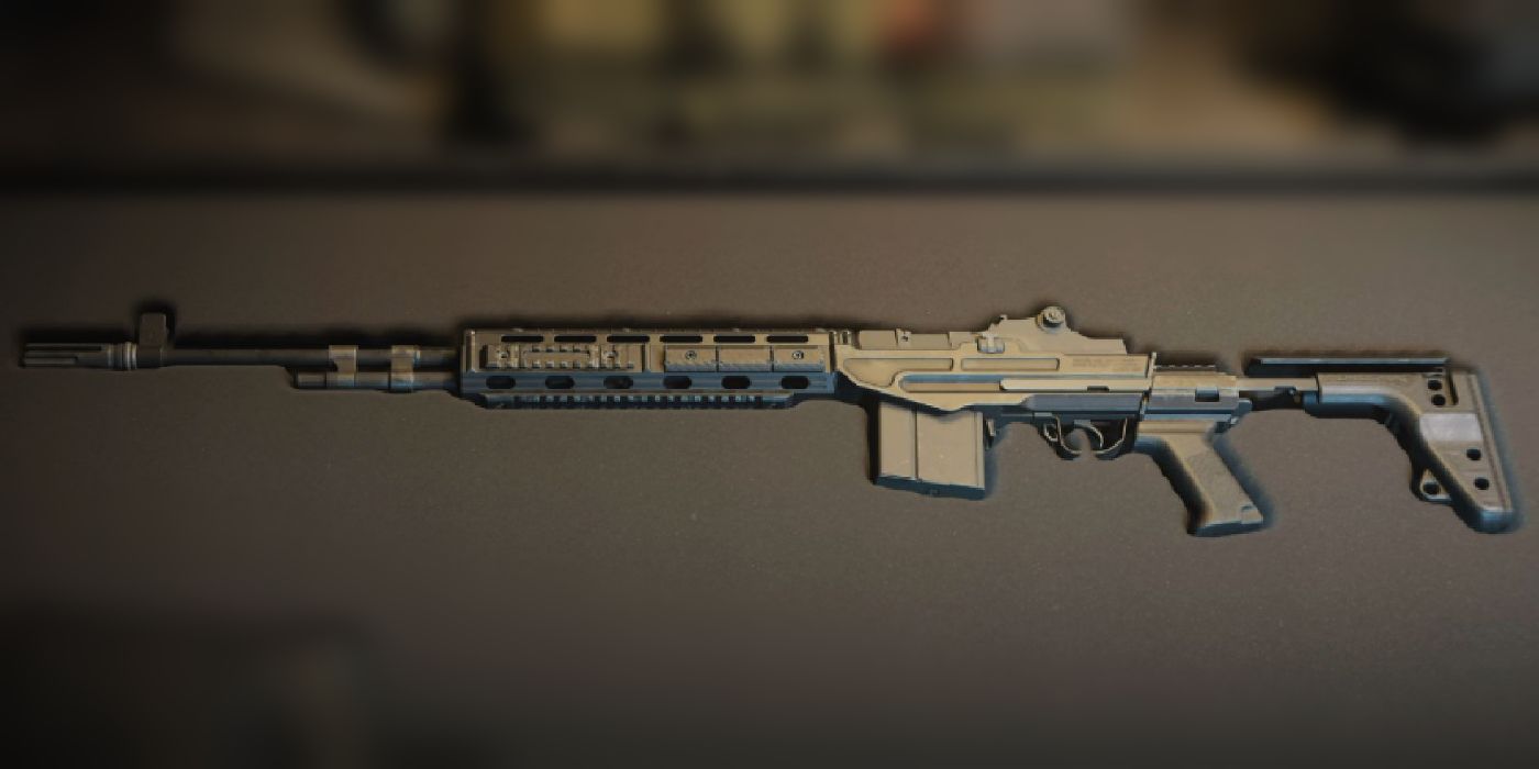 Gun Case View for EBR-14 in Warzone 2.0