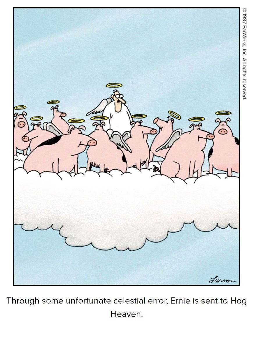 cômico do outro lado, um homem no céu está cercado por um bando de porcos também no céu todos vestidos de anjos