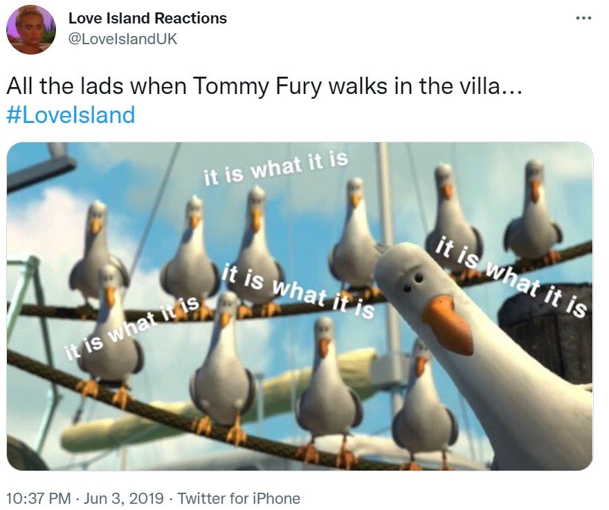 love-island-finding-nemo-meme