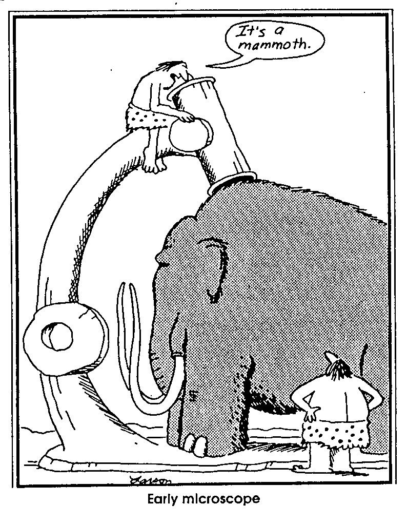 far side comic, two cavemen are looking at a mammoth through an oversized microscope, caption reads: early microscope