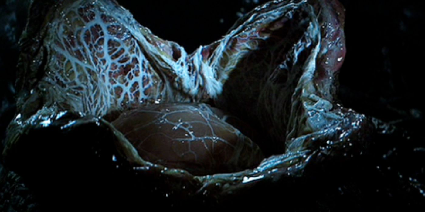 Alien's Xenomorph eggs explained. 