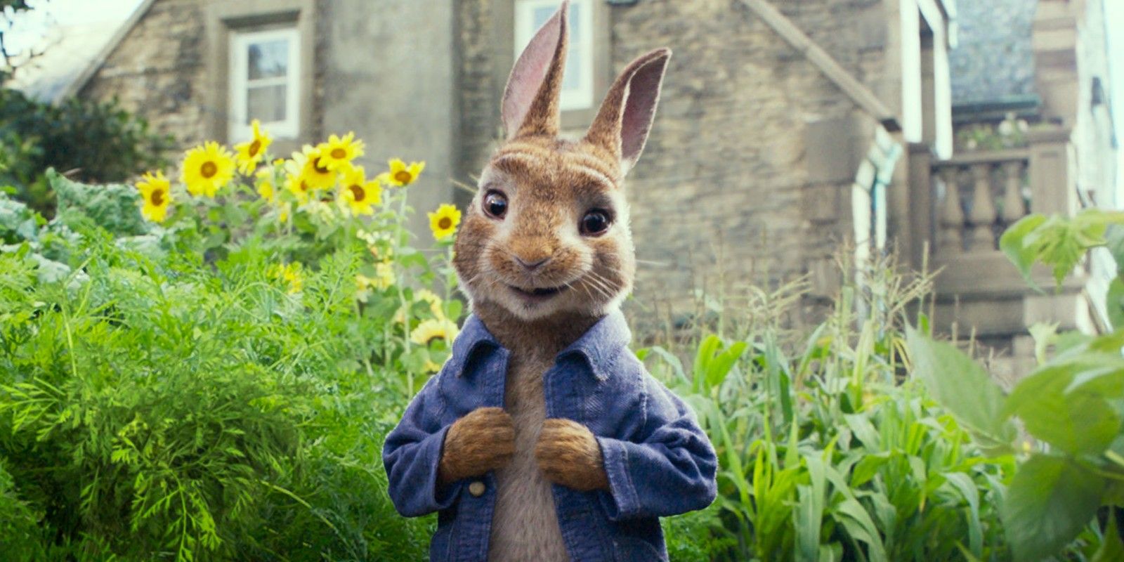 Peter Rabbit in the Garden in Peter Rabbit (2018)