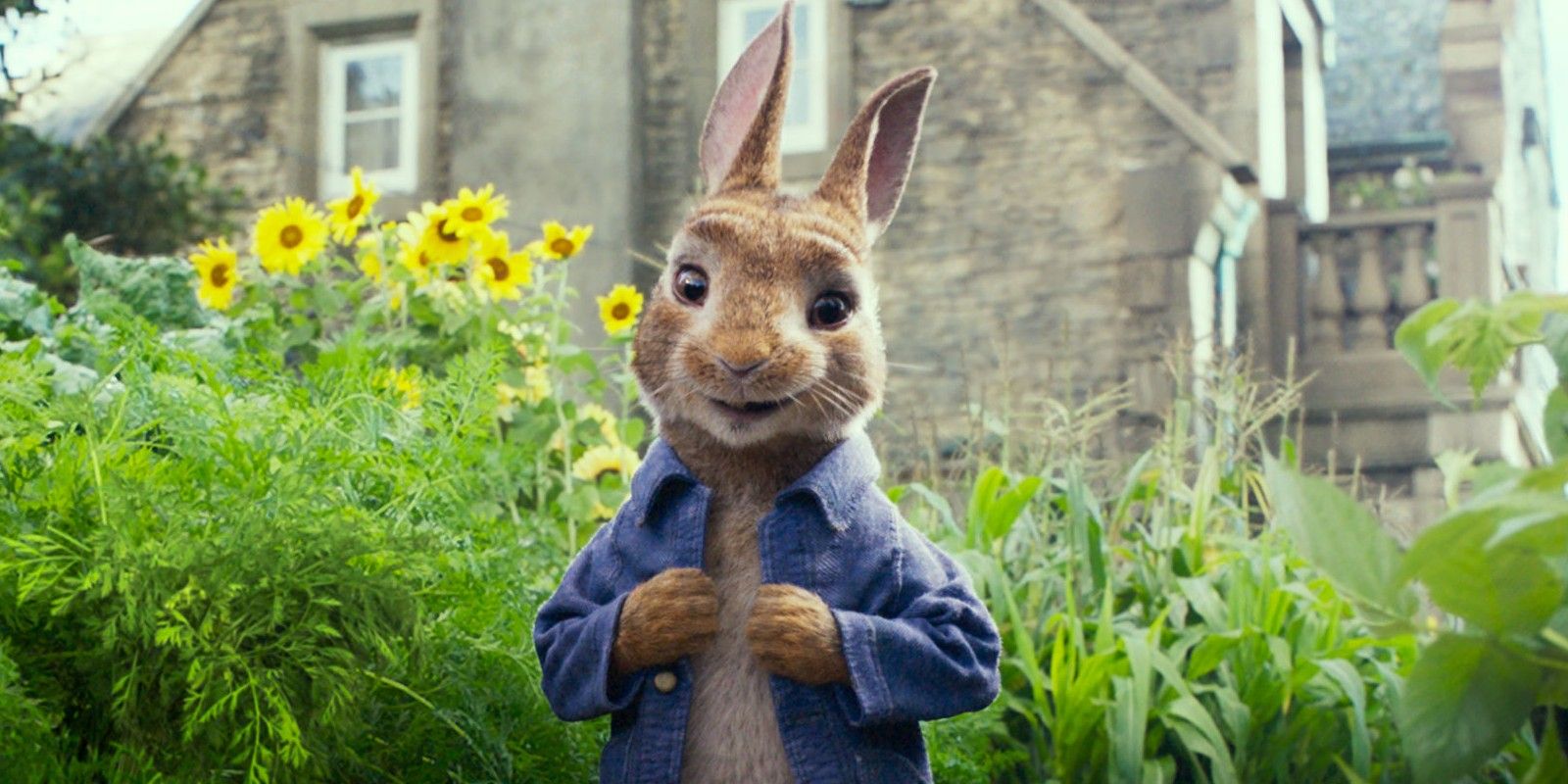 Peter the Rabbit en un jardín en Peter Rabbit (2018)