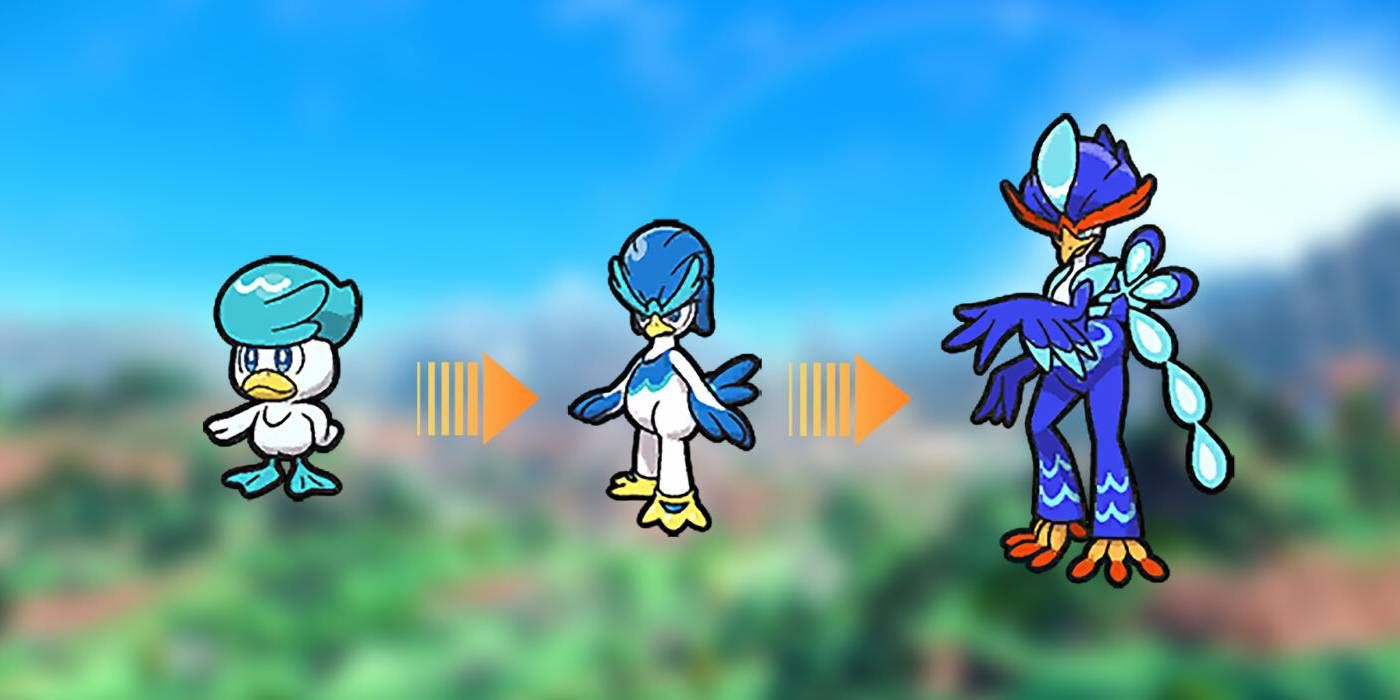 Pokemon Scarlet and Violet Quaxly Evolutionary Line Featuring Quaxly Into Quaxwell, then Finally Quaquavel