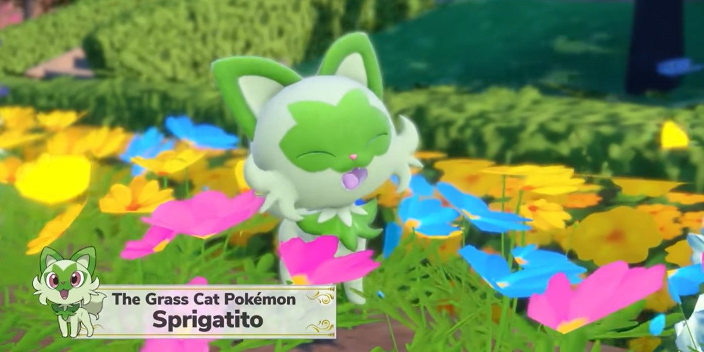Sprigatito in the Pokémon Scarlet & Violet Trailer