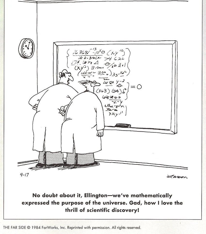 far side comic of two scientist standing in front of chalkboard looking at an equation that equals zero
