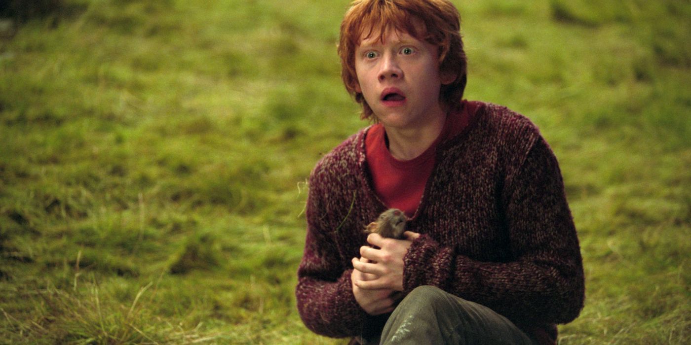 Ron holding Scabbers in Harry Potter. 