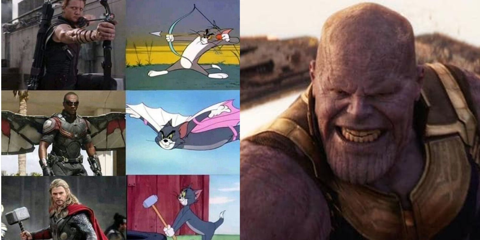 Split image of The Avengers as Tom from Tom and Jerry and Thanos in the MCU