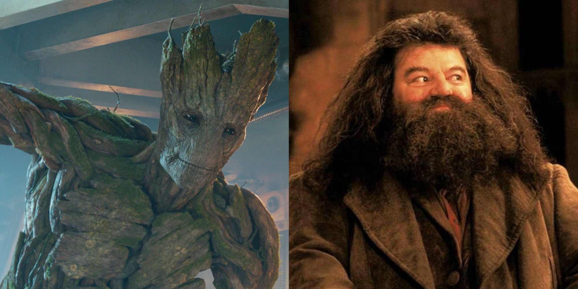 Split images of Groot smiling in Guardians of the Galaxy and Hagrid smiling in Harry Potter 2