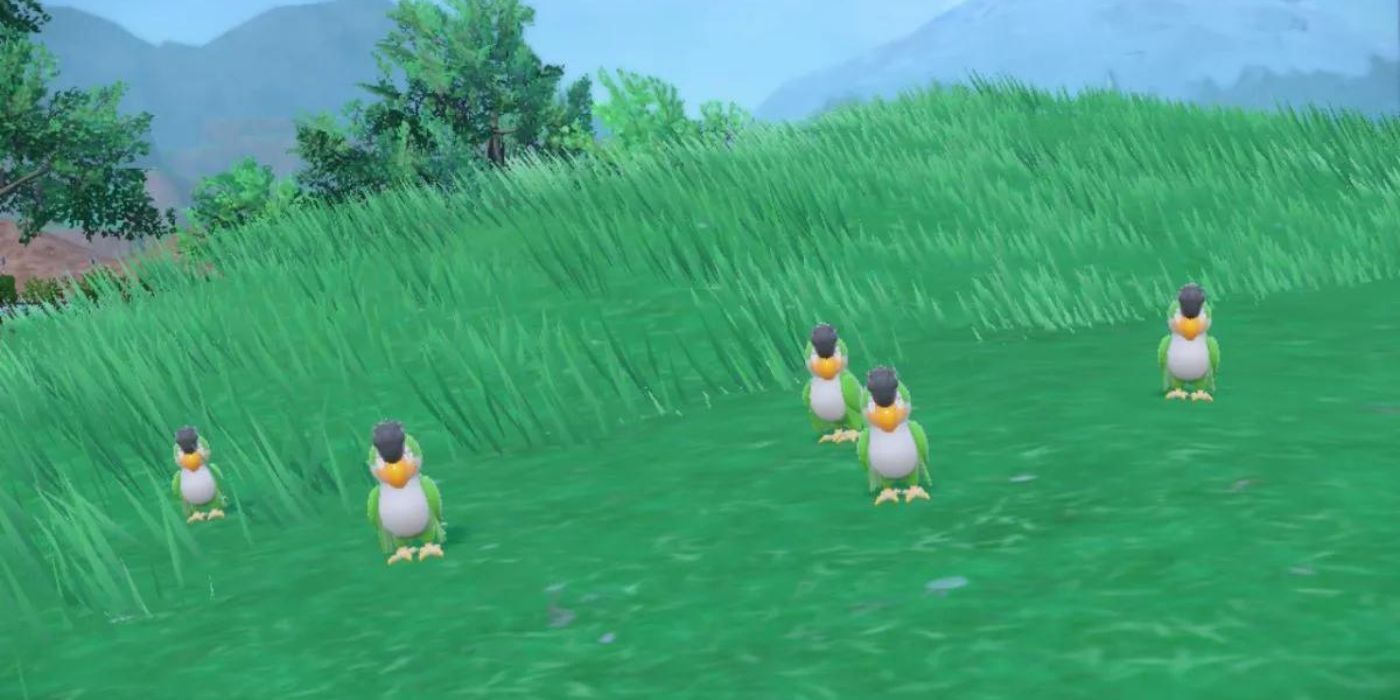 Um grupo de Squawkabilly na grama alta em Pokémon Scarlet and Violet