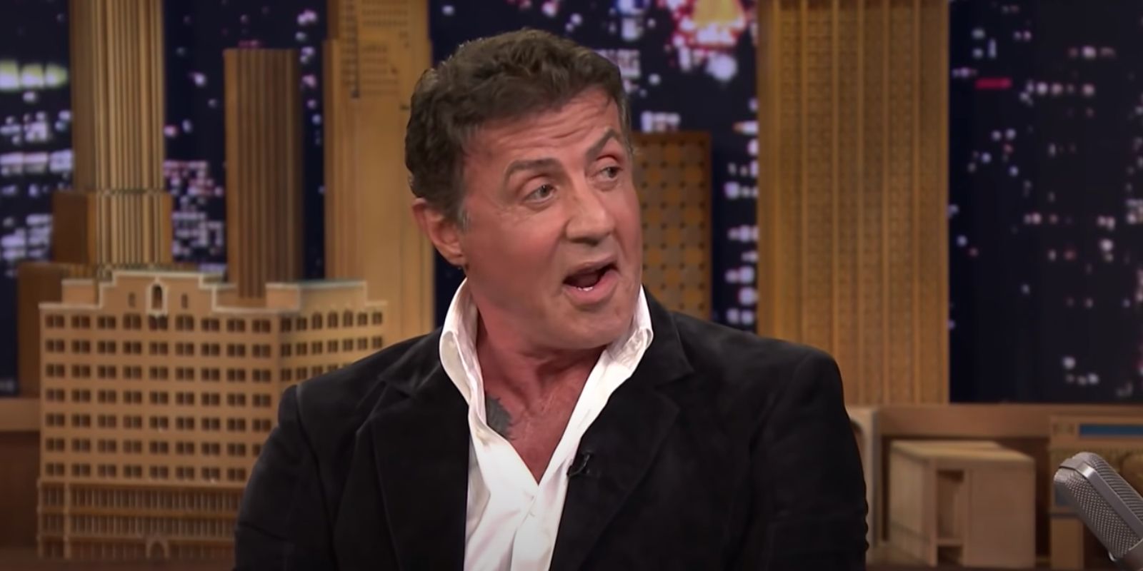 Sylvester Stallone on a talk show