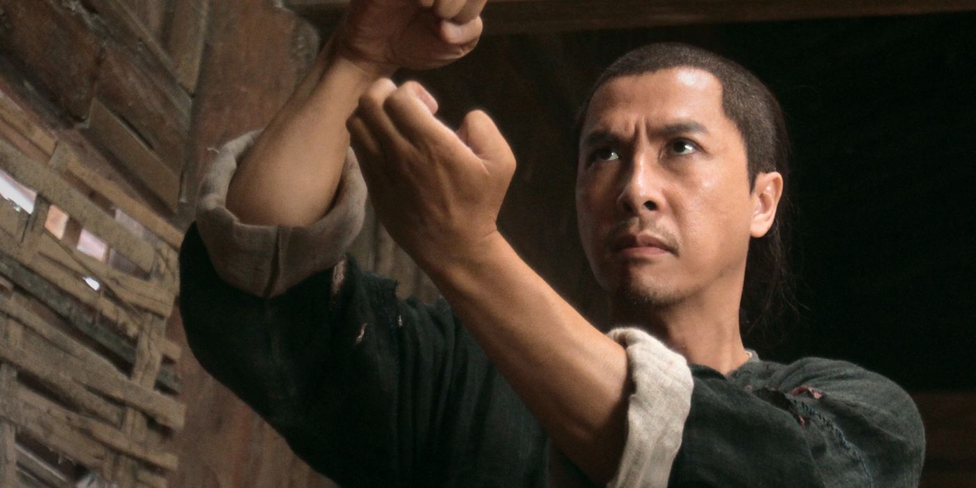 Donnie Yen in a fighting pose in The Dragon 2011.