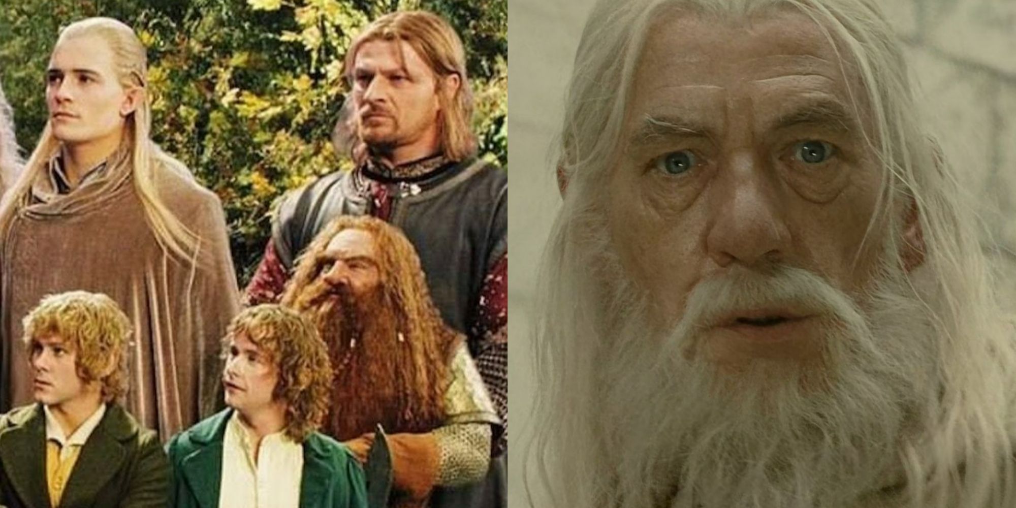 A split image showing the Fellowship on the left and Gandalf on the right from Lord of the Rings. 