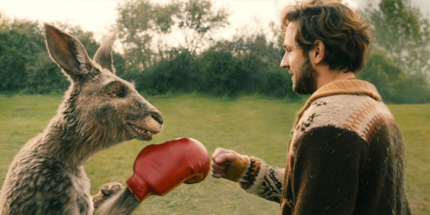 A kangaroo and a man fist bump in the Kangaroo Chronicles