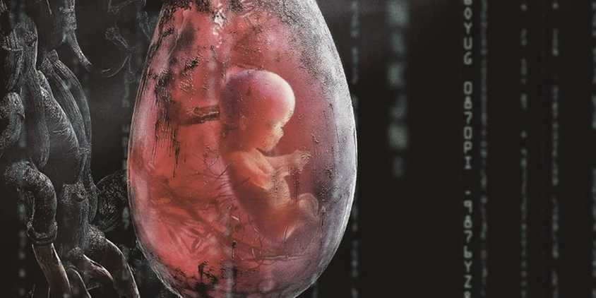 Baby in pod in The Matrix