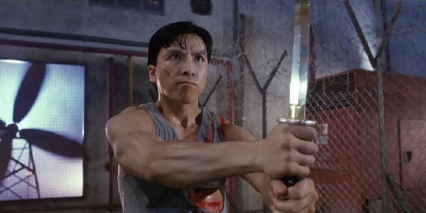 10 Great Martial Arts Films That Feel Like Jackie Chan Movies