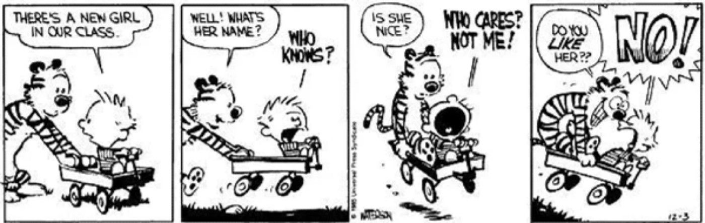 Calvin tells Hobbes there's a new girl at school 