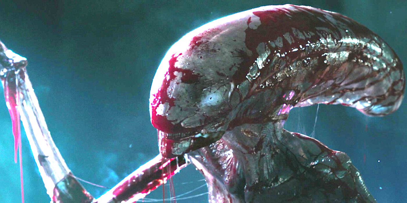 A xenomorph from Alien Covenant, spindly-limbed, translucent and covered in blood 