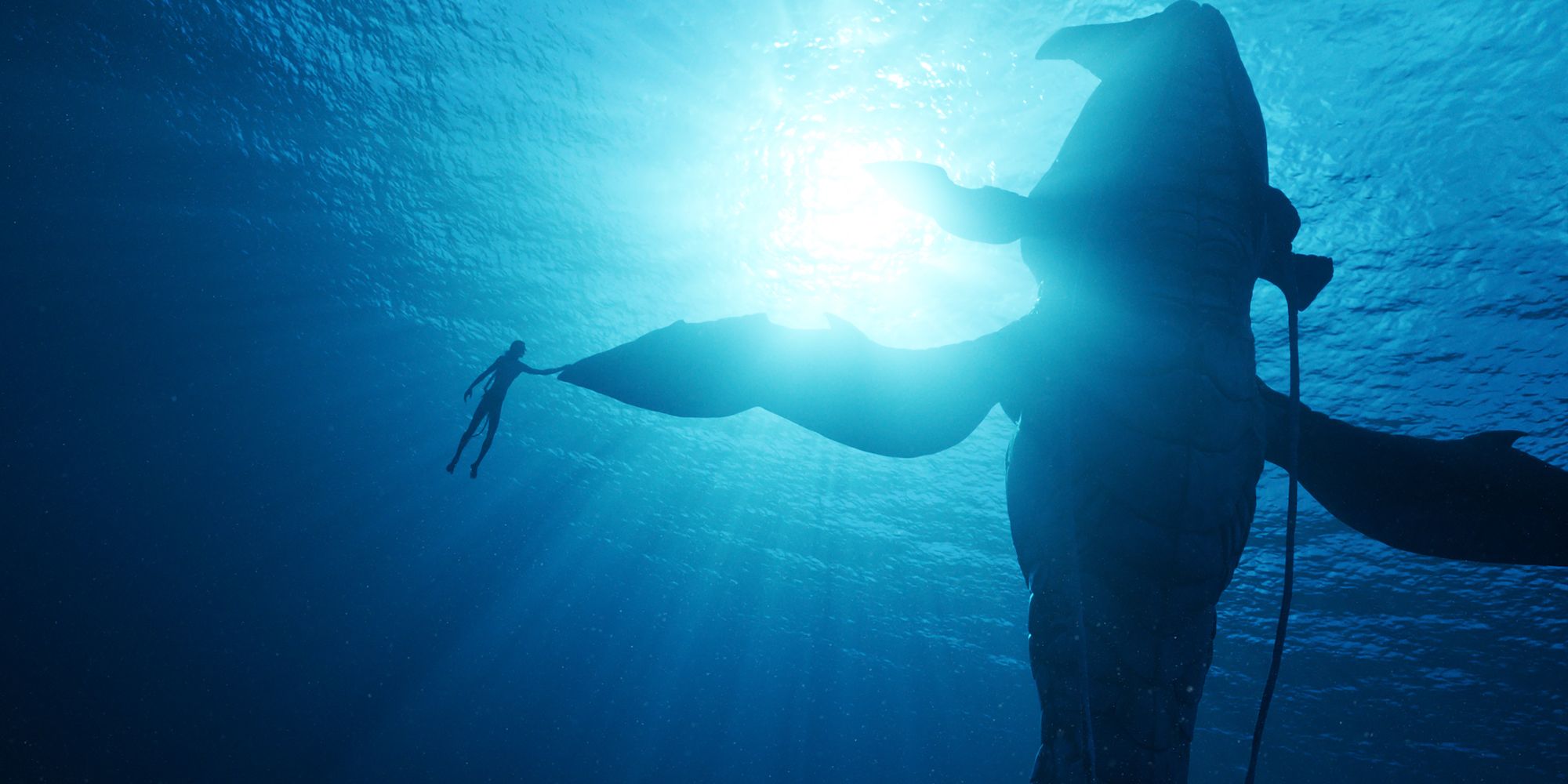 Avatar, de weg van het water, zwemmen met een walvis