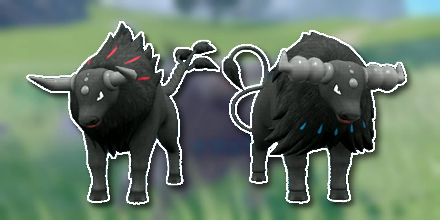 Blaze tauros