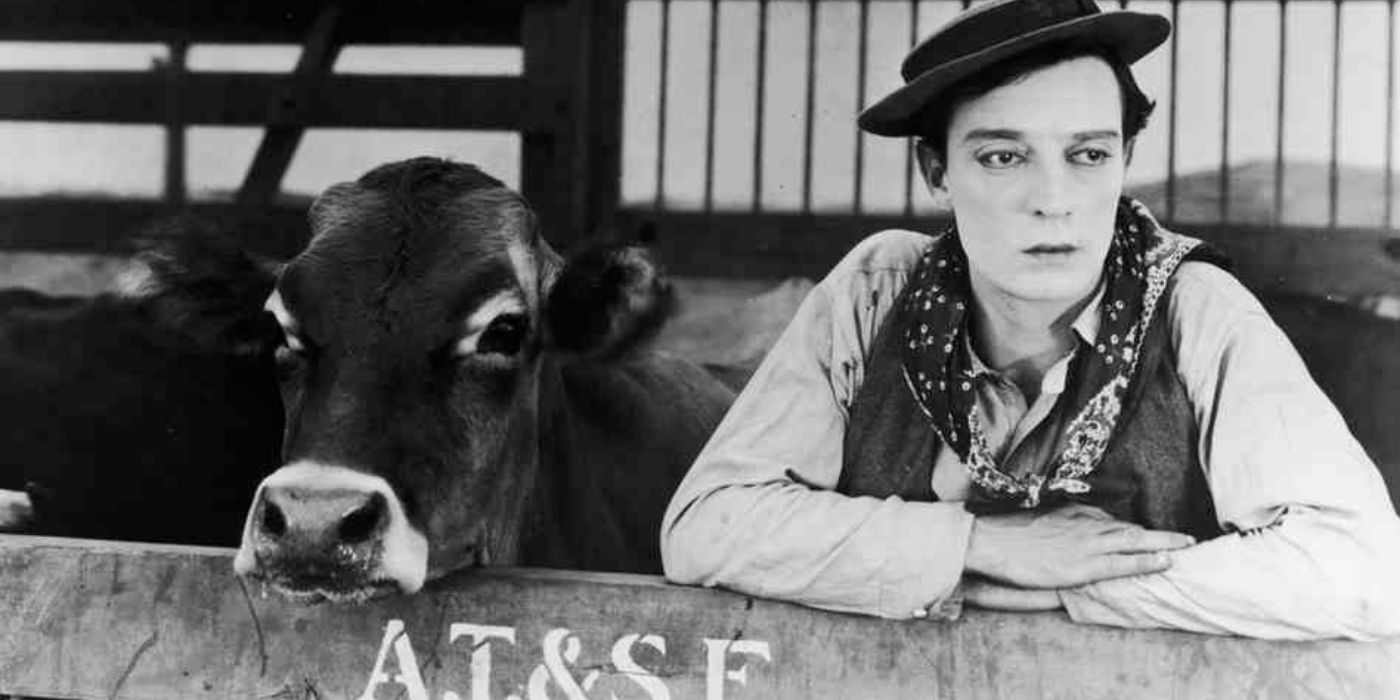 Buster Keaton standing next toa  cow in Go West 