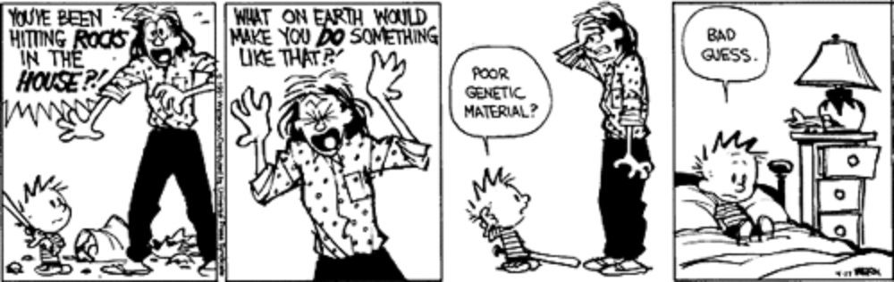 Calvin e Hobbes 17 de abril de 1991