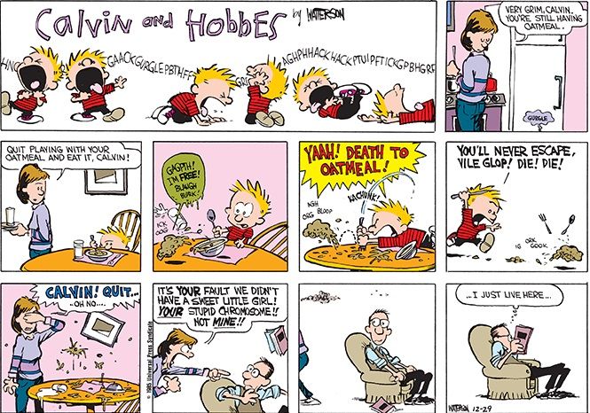 Calvin e Hobbes 29 de dezembro de 1985