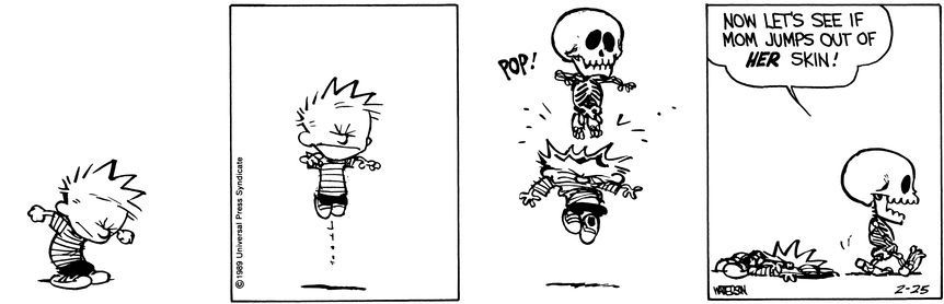 Calvin and Hobbes February 25 1989