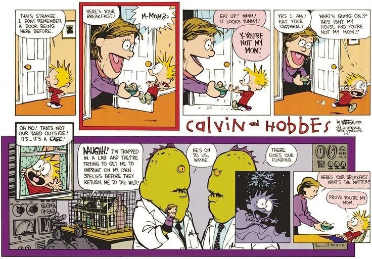 Calvin and Hobbes February 5 1995