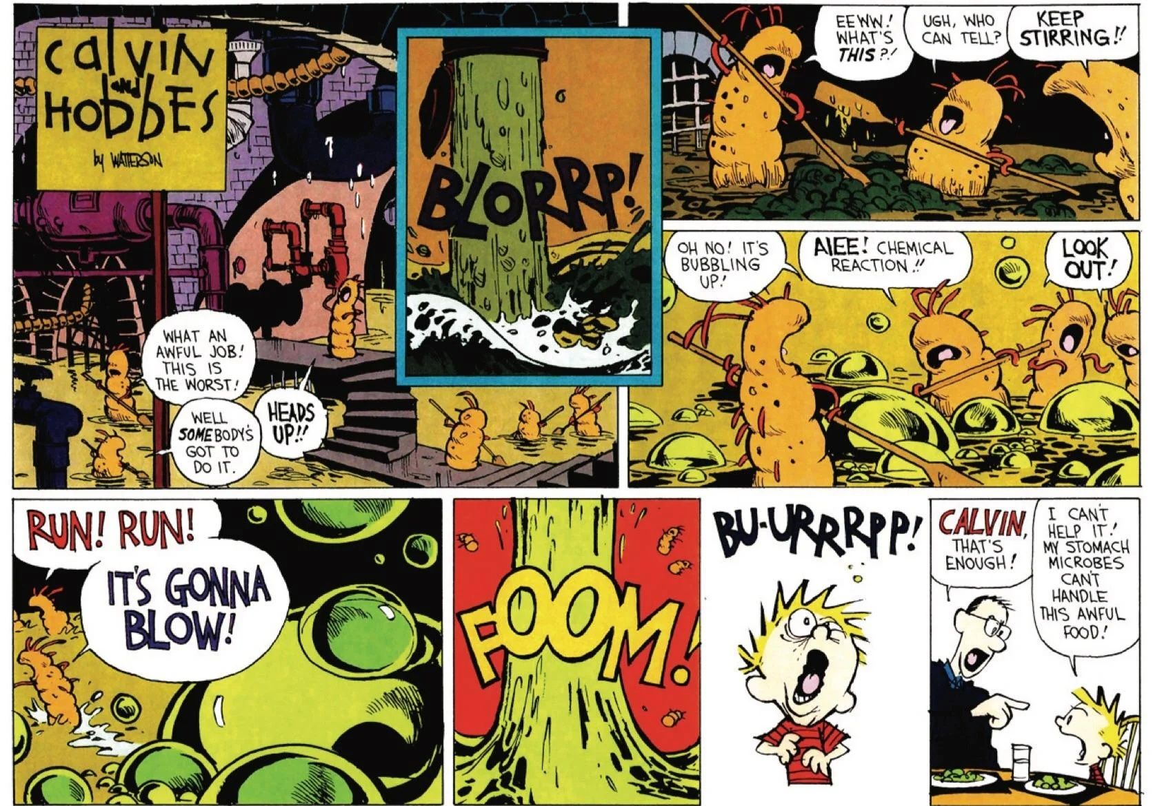 Calvin and Hobbes February 7 1993-1