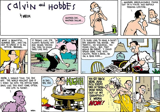 Calvin e Hobbes 29 de julho de 1990