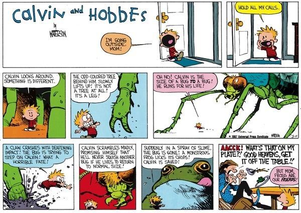 Calvin e Hobbes 14 de junho de 1987