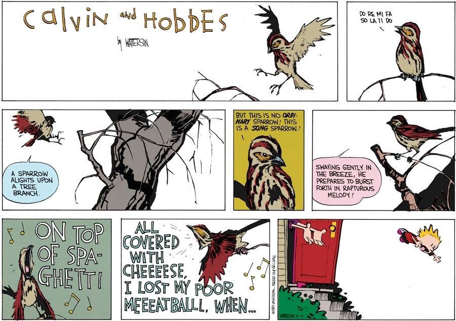 Calvin and Hobbes June 18 1989