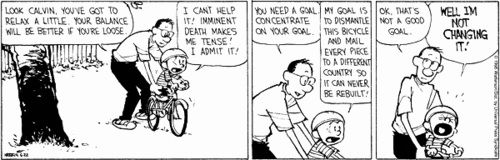 Calvin and Hobbes June 22 1995