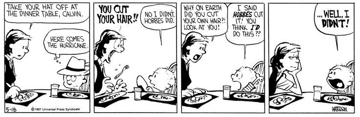 Calvin e Hobbes 18 de maio de 1987