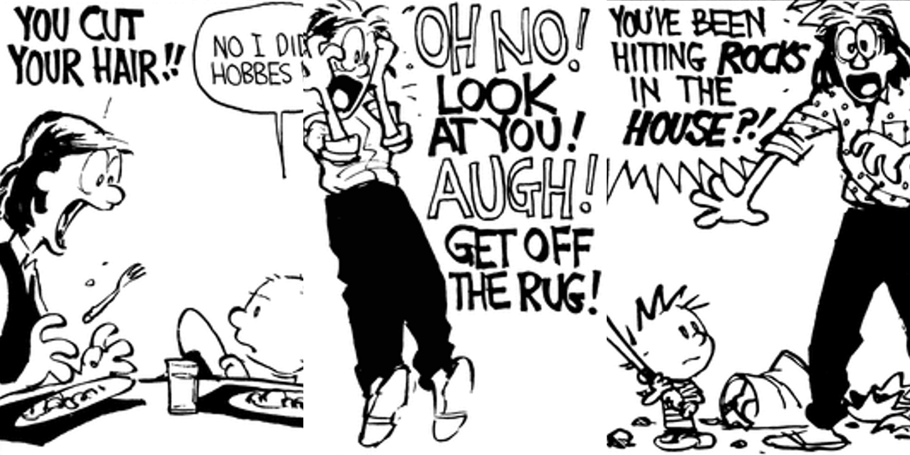Calvin And Hobbes Mom Freakouts
