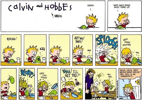 Calvin e Hobbes 4 de novembro de 1990
