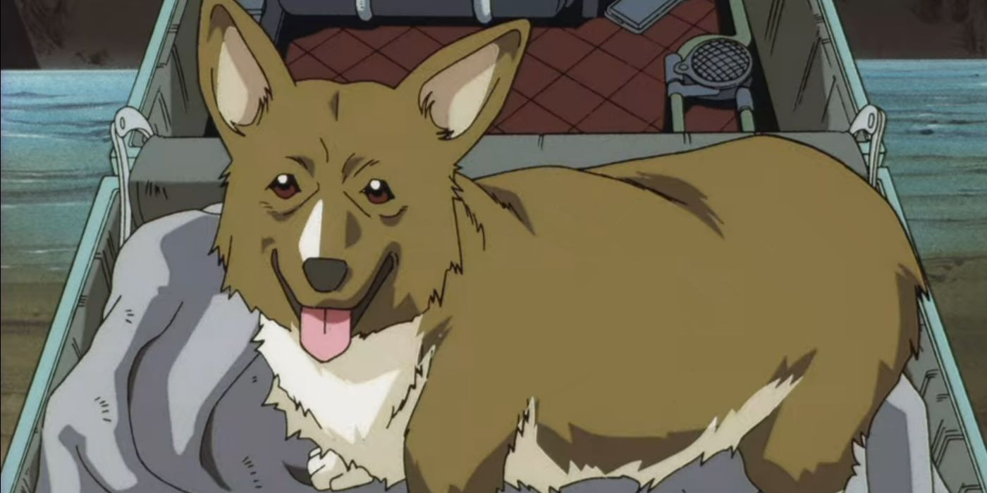 Aggregate 117+ anime corgi best - cic32.com.vn