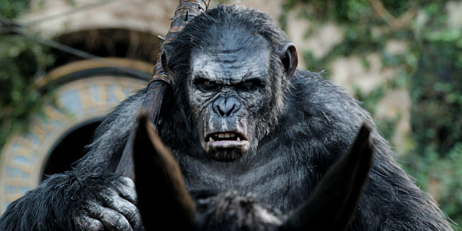 Dawn of the Planet of the Apes - Koba