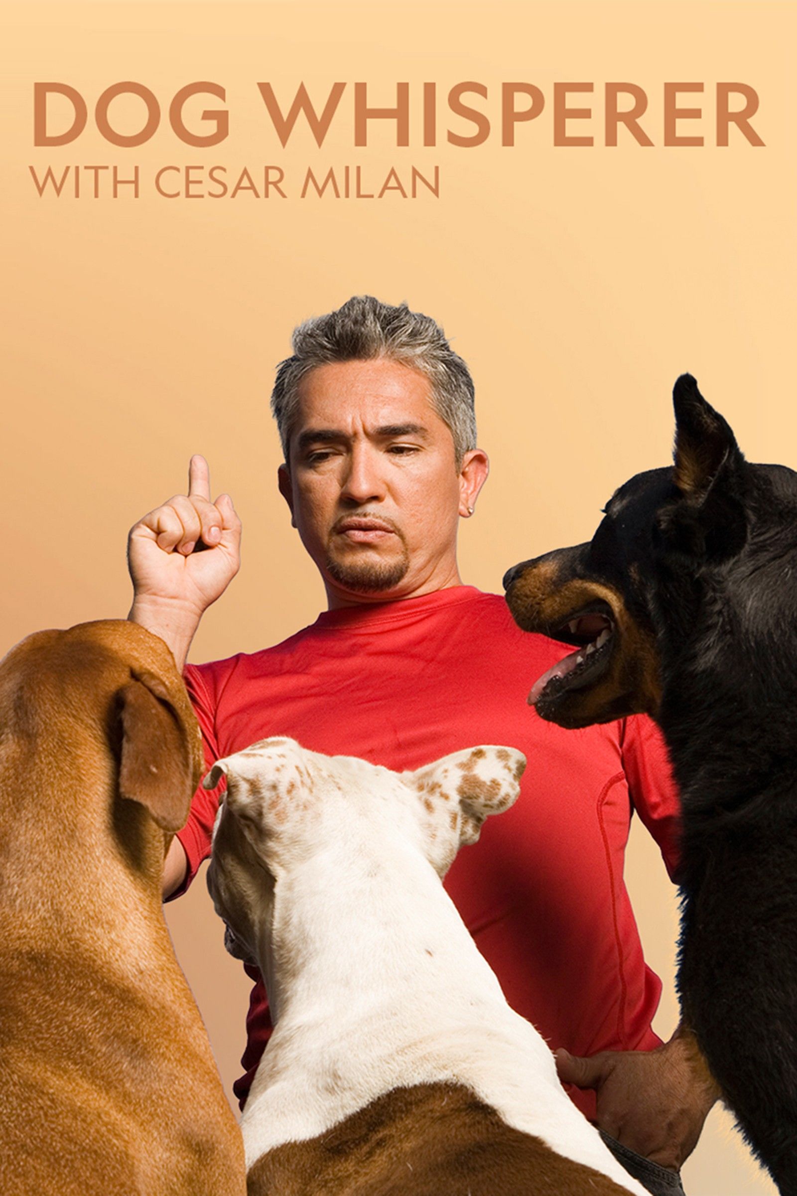 Dog Whisperer TV Poster