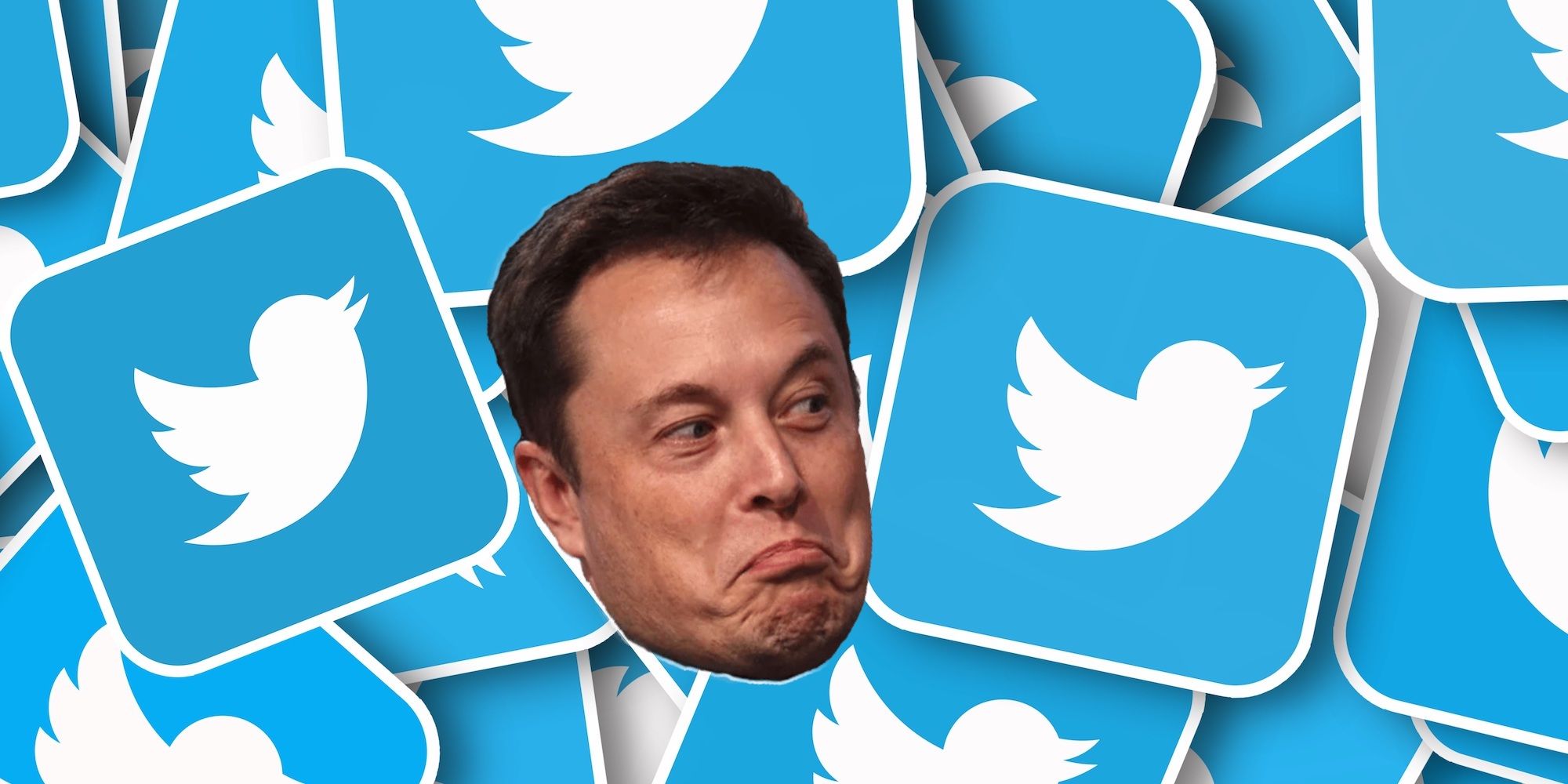 Elon Musk’s Twitter Poll Results Are In, And Users Want Him Gone