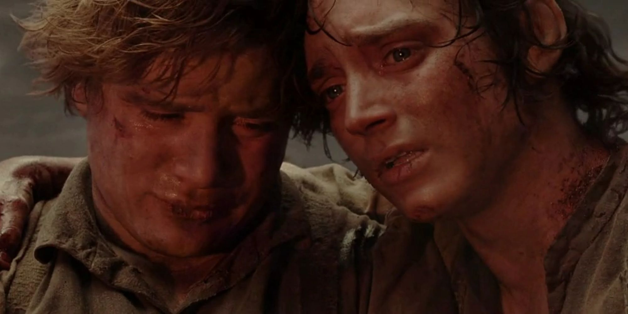 Frodo and Sam holding each other on Mount Doom in Lord of the Rings. 